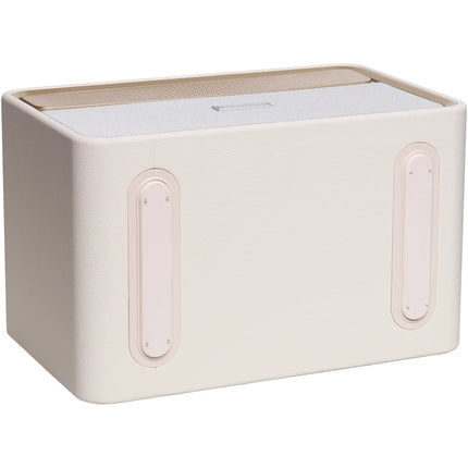 HiFuture Passion X Portable Bluetooth Speaker Gold