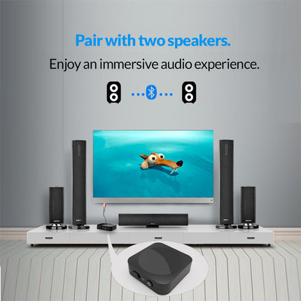 Bluetooth Wireless Audio Transmitter & Receiver