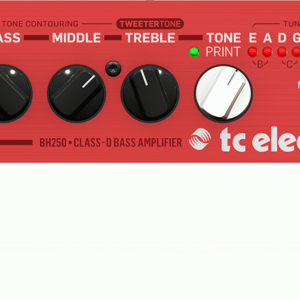 TC ELECTRONIC BH250 BASS HEAD