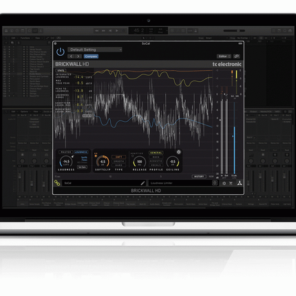TC ELECTRONIC BRICKWALL HD-DT